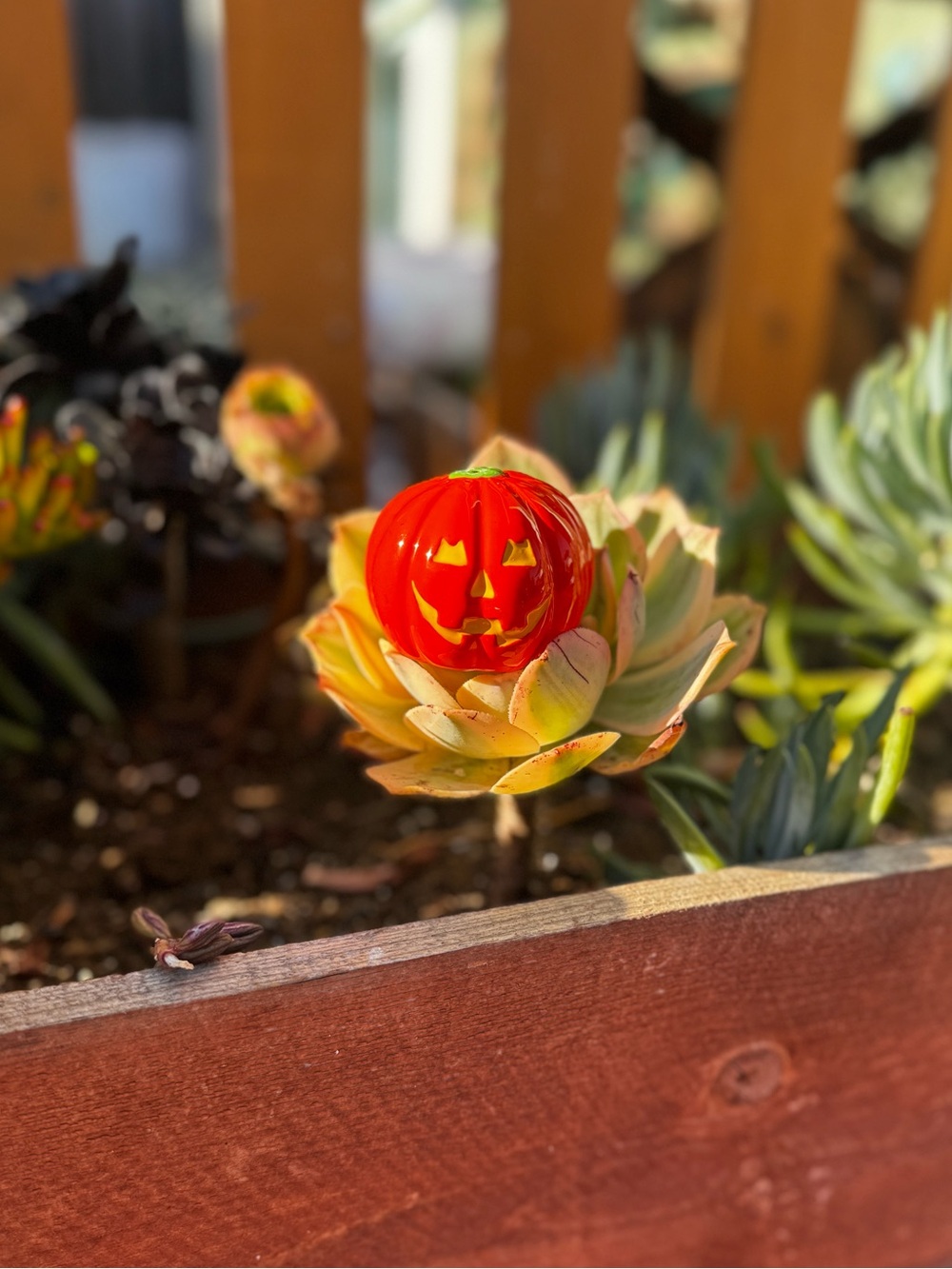 Vintage jack o lantern shaker Halloween - Seasonal Holiday Décor
